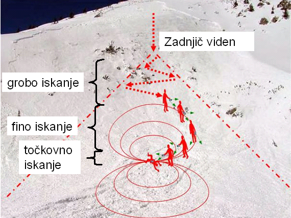 Trije koraki iskanja z žolno