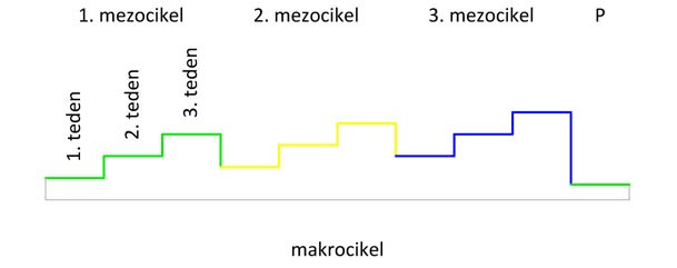Ciklizacija treninga.